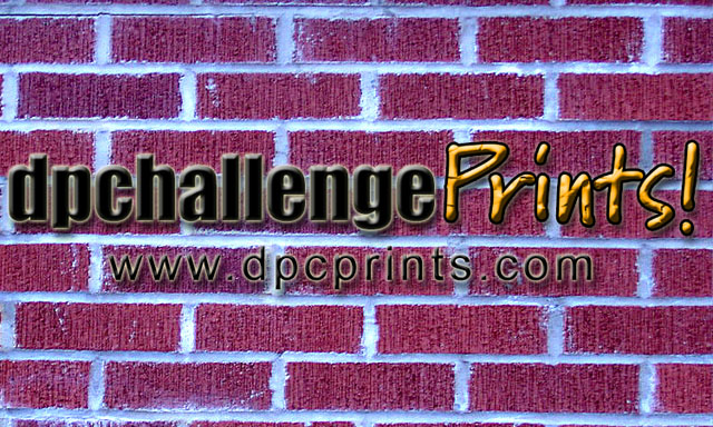 DPCPrints on Brick