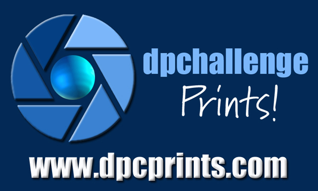 DPCprints stick project