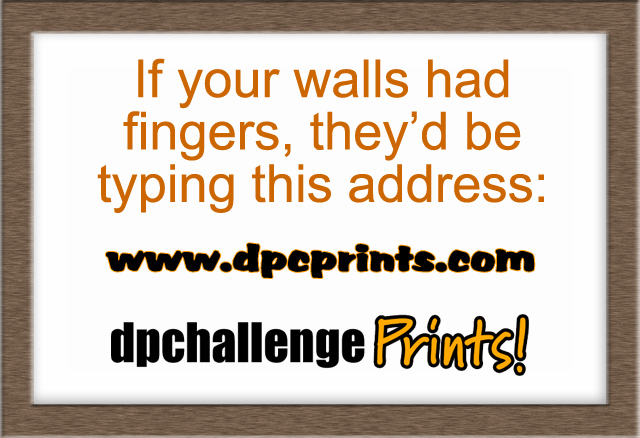 If your walls had fingers...