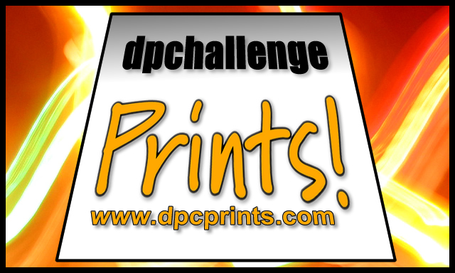 DPChallenge Prints!