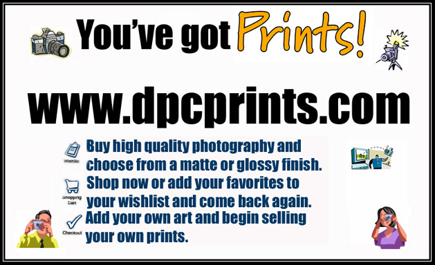 You've Got Prints!