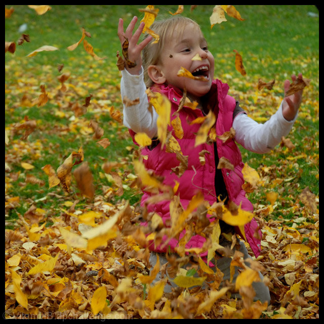 The Gifts of Autumn