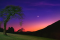 Evening Star