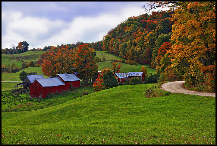 Autumn Serenity