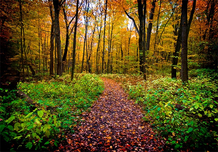 Hiking Through Fall