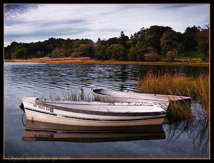 Tide and Tied Up