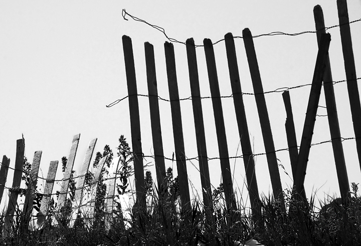 Snow Fence