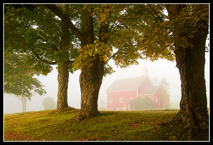 Through The Morning Mist