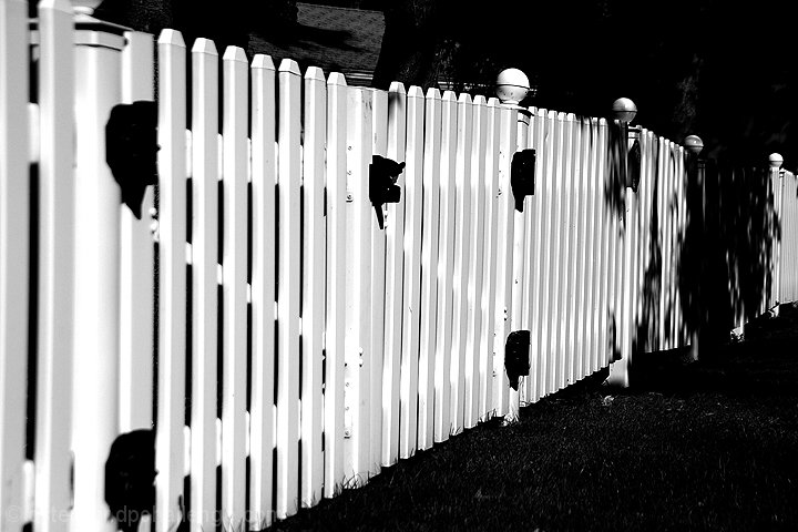 Keeping Them In - Or Keeping Them Out? ...The Picket Fence