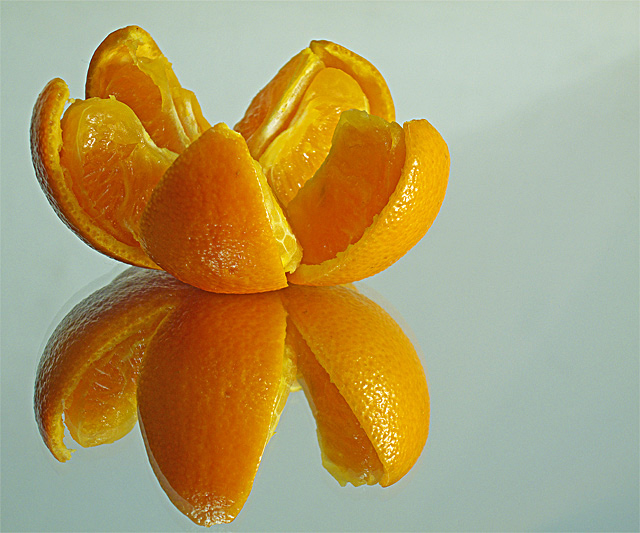 Lotus Orange