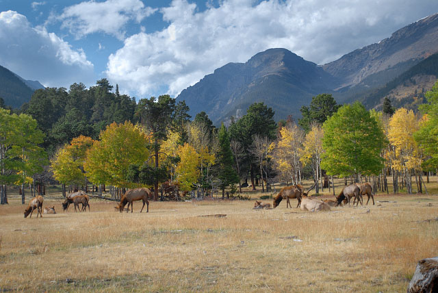 Rocky Mountain Park