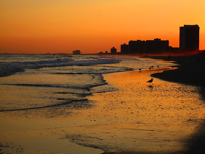 Beach Life