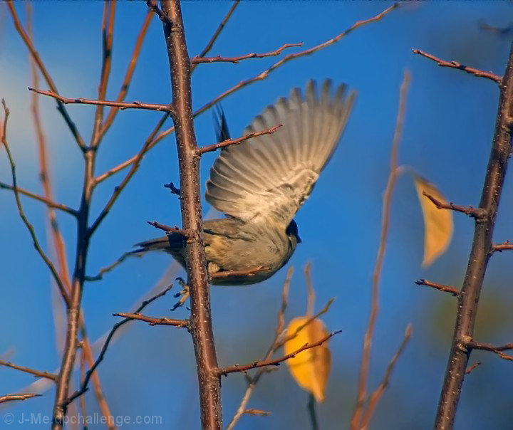 Darned Paparazzis And Their Zoom Lenses!