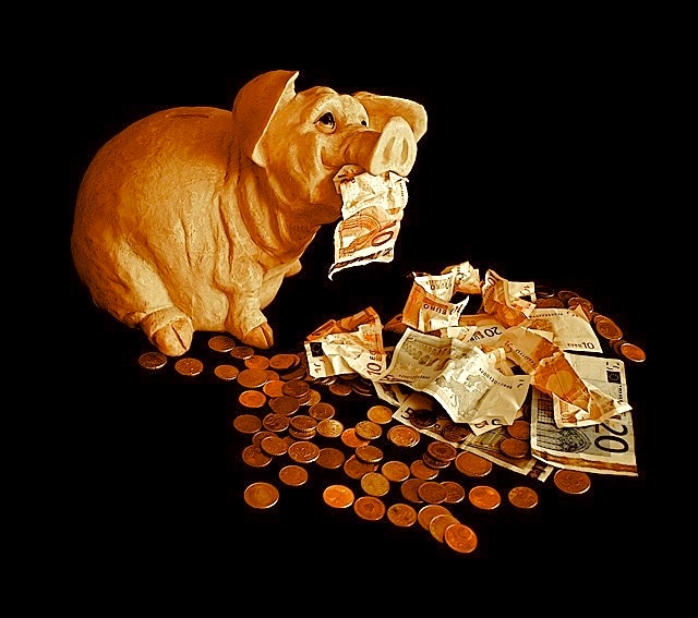  "Pig Out" Living high on the hog