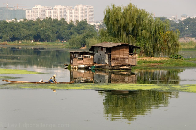 Life on a river