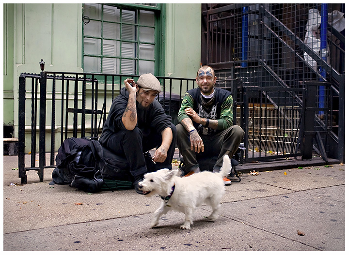 White Dog + Punks On Dope