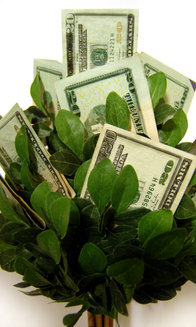 Money Tree