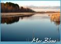 Come Visit the Mer Bleue Bog in Ottawa!