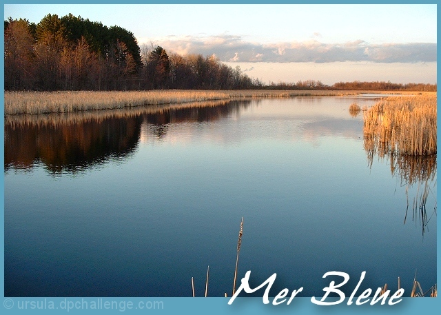 Come Visit the Mer Bleue Bog in Ottawa!