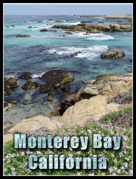 Monterey Bay