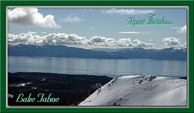 ALPINE MEADOWS, LAKE TAHOE postcard