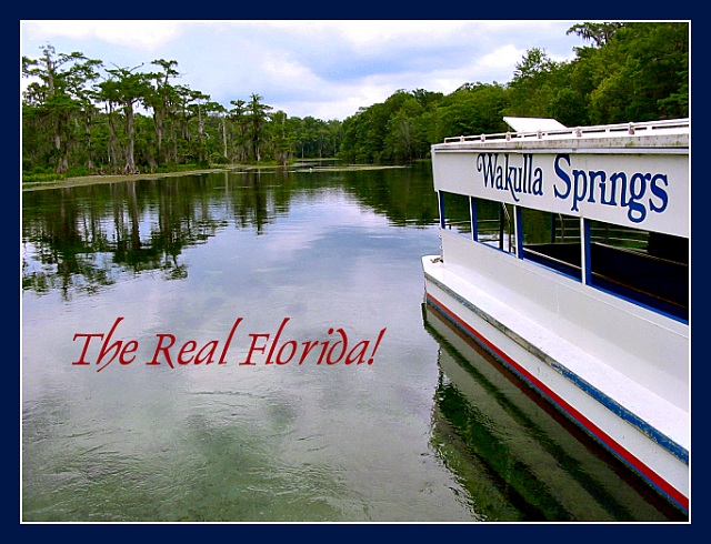 Wakulla Springs:  The Real Florida