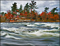 The House by the Water