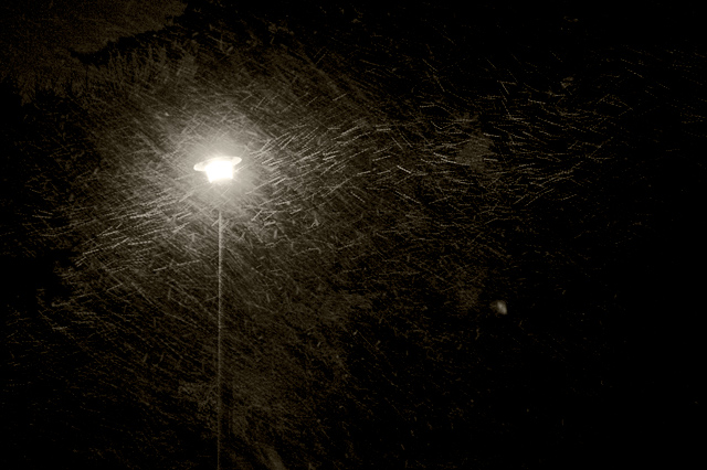 snowstorm