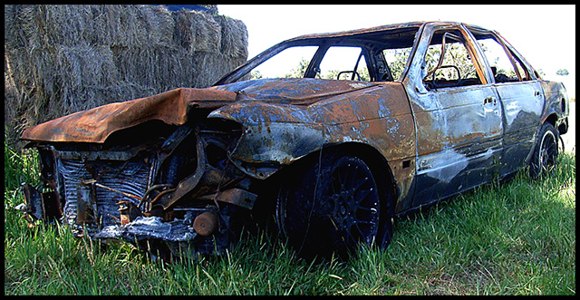 Out to Pasture.