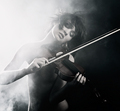 Smokin Fiddles