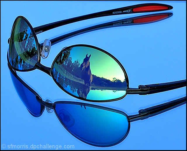 Who's the Stud in the sunglasses?