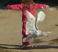 I Believe I Can Fly ...