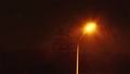 Snow at night