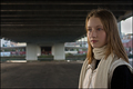 Beauty and the Bridge