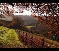 Autumn Walk