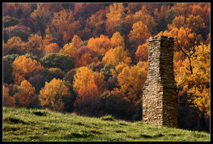 Old Hilltop Homestead