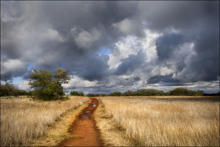 The Red Road