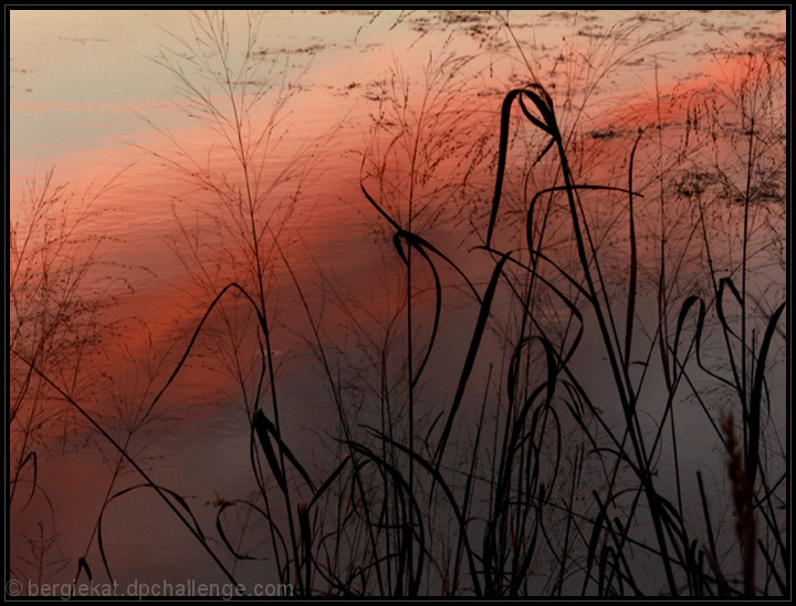 Evening on Lost Lake