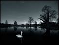 ETERNITY