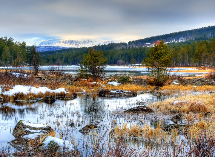 Frosty morning