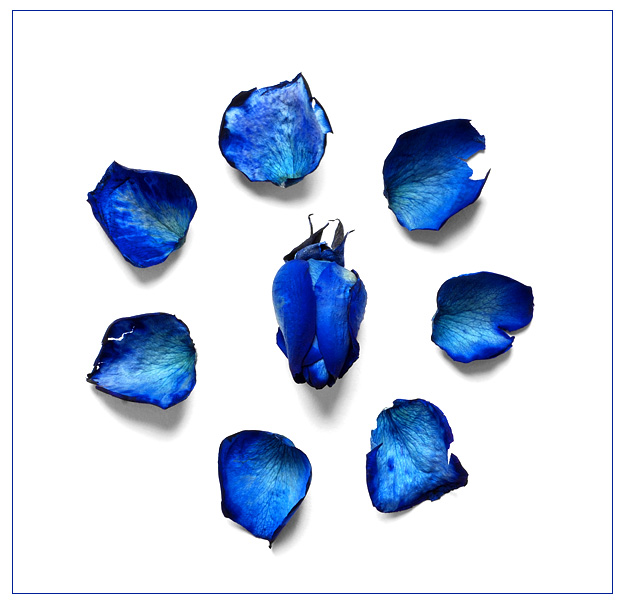 Oh, so blue!