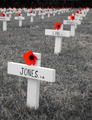 In Rememberence............