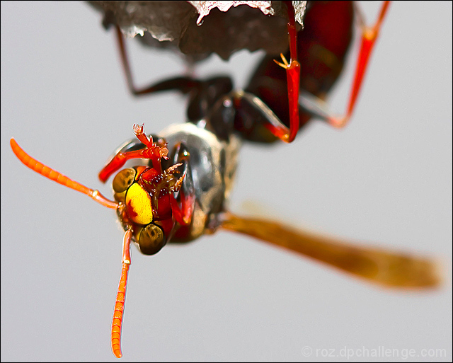 I'm watching YOU !!