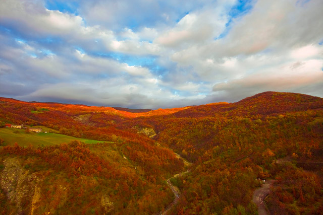 red autumn