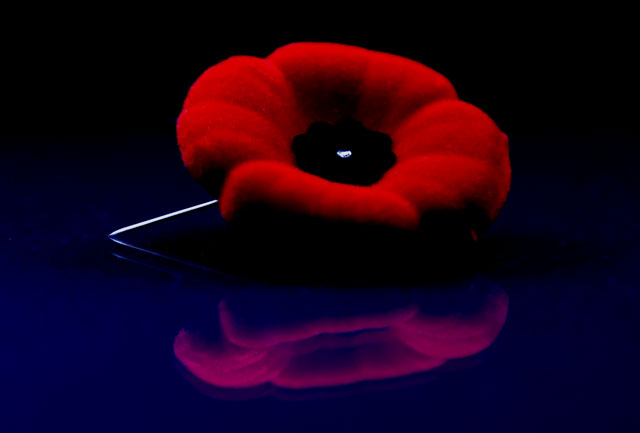 Reflect and Remember Lest We Forget