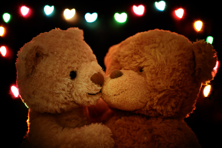 Bear Necessities