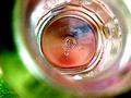 Looking Through A Bottle
