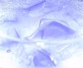 ice cube in my glass...