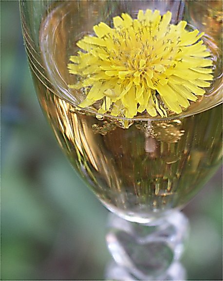 Dandelion Wine