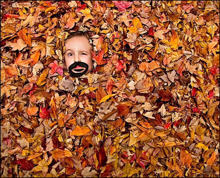 Lurking in the Leaves